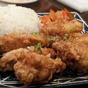 Modu Wing Set
