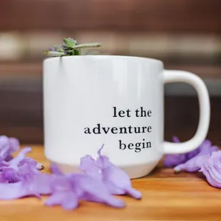 a mug with a plant in it