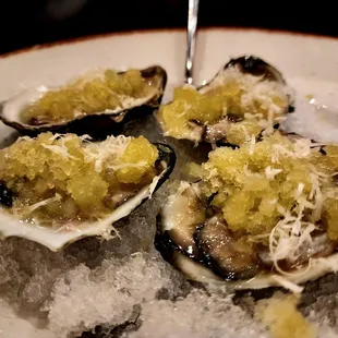 Unicorn Oysters