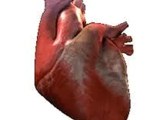 Heartland Cardiology