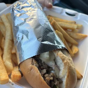Philly Gyro Sandwich
