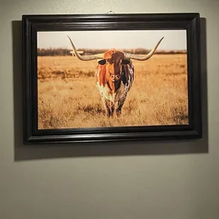 This shot totally warmed my Taurus heart