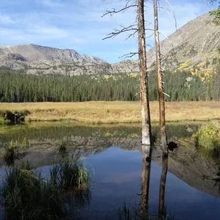 Reflections from the beaver pond