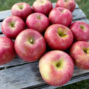 burritos and wraps, food