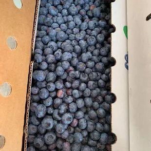 a box of blueberries