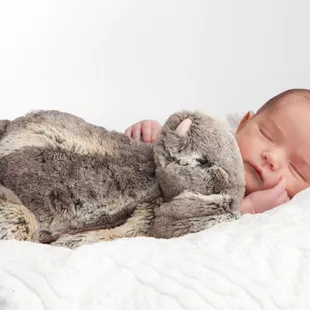 New Baby Portraits in New Mexico