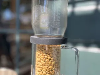 Current Crop Roasting Shop