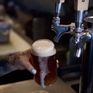 Local beer on tap
