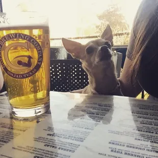 Dora enjoying her beer watching the big screens