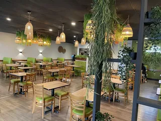 Cilantro Latin Fusion