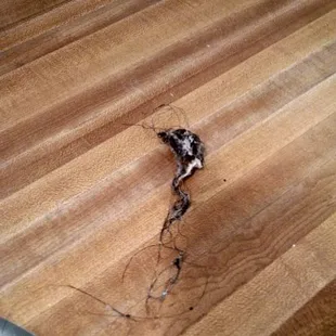 Hair pulled out of the drain, so it would drain, on the counter in the ladies room, for over a week.