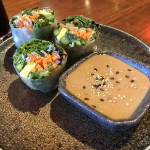 Vegan spring Roll