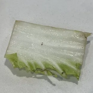 Napa Cabbage