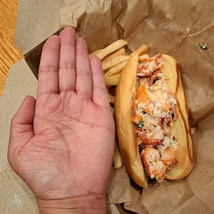 Hot Dog