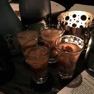 Oyster - Uni shots