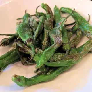 Shishito Pepper