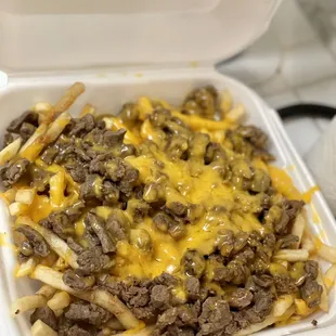 Fries with Carne Asada &amp; Cheese