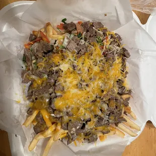 Carne Asada fries