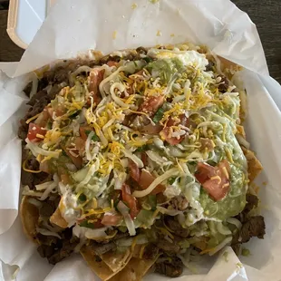 Carne asada fries