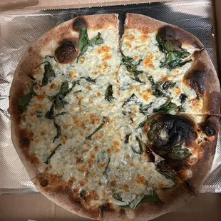 Mushroom pizza with no mushrooms, no balsamic drizzle, and one totally burned piece.