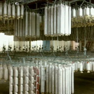 Salami anyone?