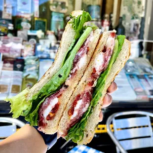 Luciano Special - Parma Proscuitto, Sweet Coppa, Fresh Mozzerella, Sun Dried Tomatoes, Onions, Lettuce on a Grilled Focaccia Bread