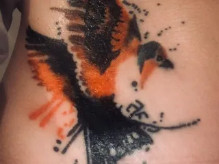 Seven Seas Tattoo