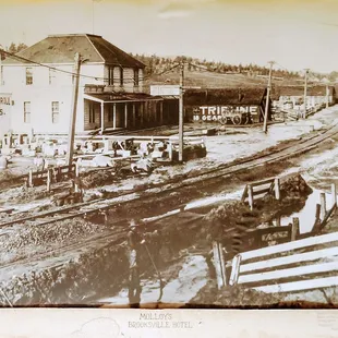 Original picture of Molloy in 1883
