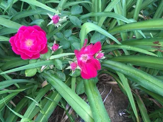 The Cherryvale Bed and Breakfast