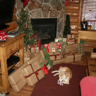 Americana Cabin - Gas fireplace, Flat Screen with Satellite - Molly Butler Lodge &amp; Cabins