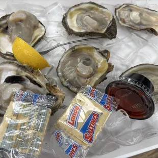 Oysters on the Halve shell