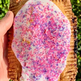 Fig Pop Tart