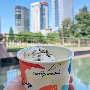 Split scoop ice cream by the park. - IG:@barriegudfood