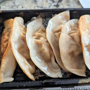 Gyoza