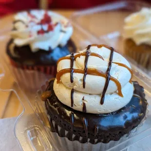 Molly's Cupcakes