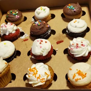 Assorted minis cupcakes