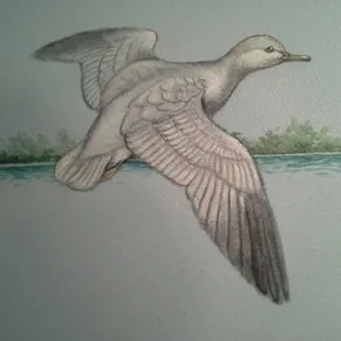 a duck in flight