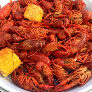 Molly&apos;s pub crawfish