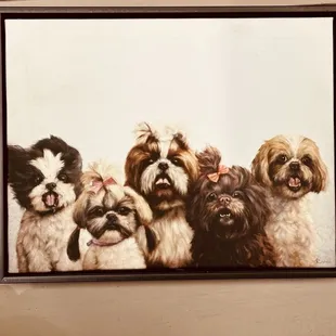 Cute dogs