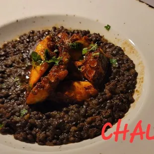 DELICIOUS HOT TENDER OCTOPUS  WITH BEAN