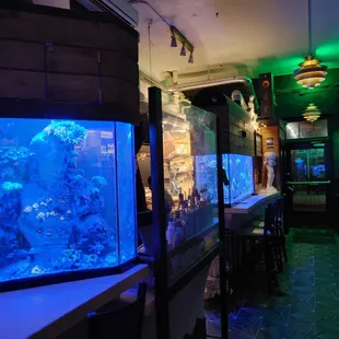 a fish tank in a restaurant