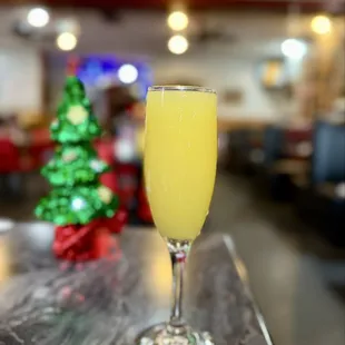 Mimosa