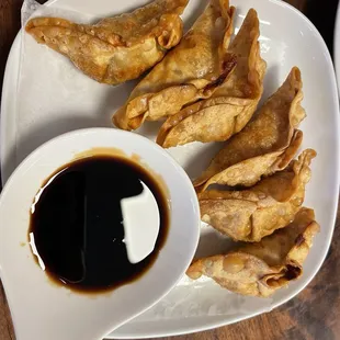 Pot Stickers