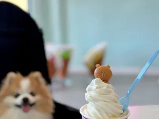 Story’s Organic Milk Bar