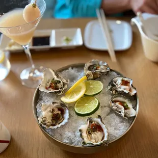 Kuramoto Oysters