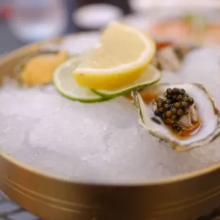 omakase - close up of kumamoto oysters caviar