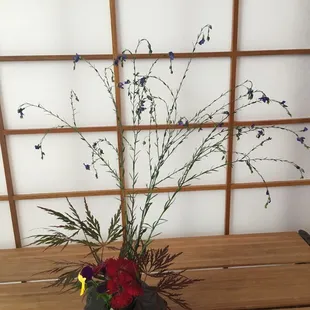 Exquisite Ikebana arrangement by Bryan from elements of his garden!