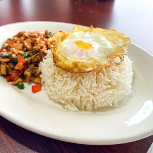 food, curry