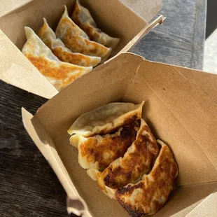 Veggie Pan Fried Dumplings