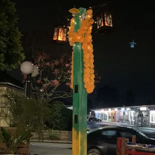 Lights and decorations